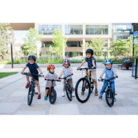 Rascal Bikes 16 Belt Drive 1-Gang, aquamarine