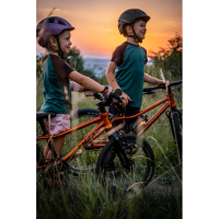 Rascal Bikes 16 Belt Drive 1-Gang, aquamarine