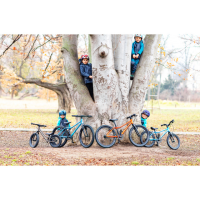 Rascal Bikes 16 Belt Drive 1-Gang, aquamarine